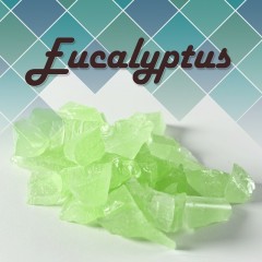Kandijsnoepjes Eucalyptus 